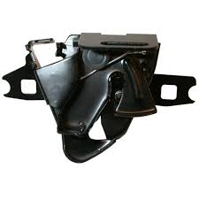 BRAVA HAUBE NA VEZNOM LIMU